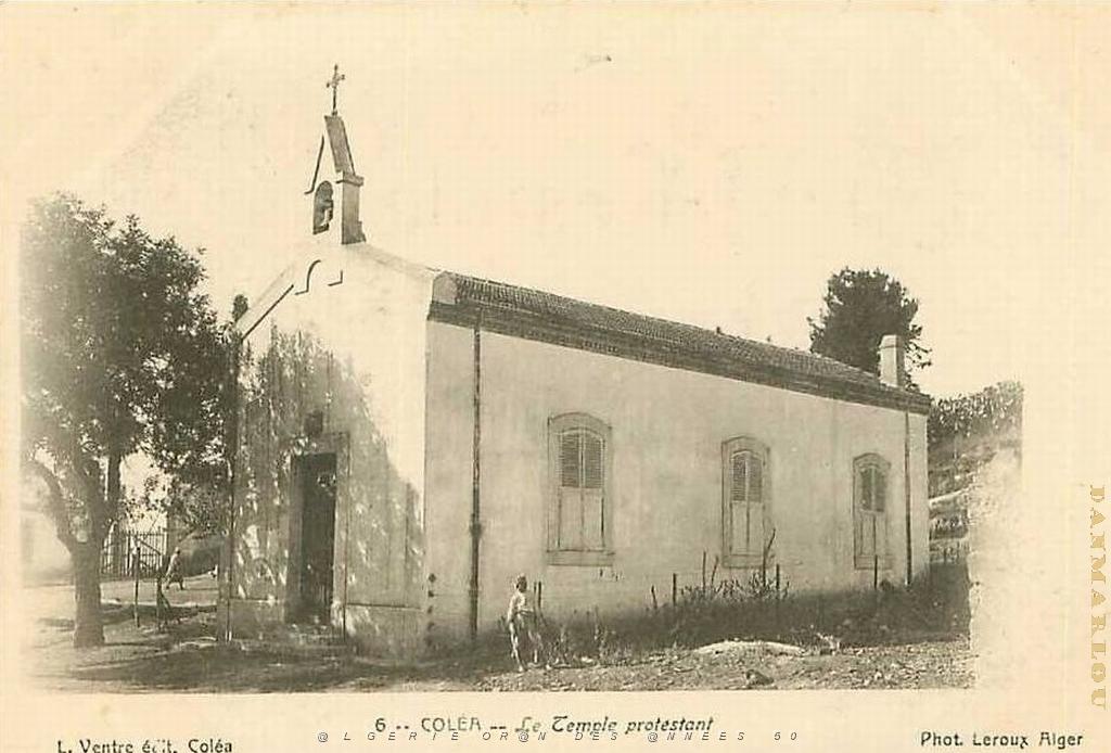 COLEA TEMPLE.jpg